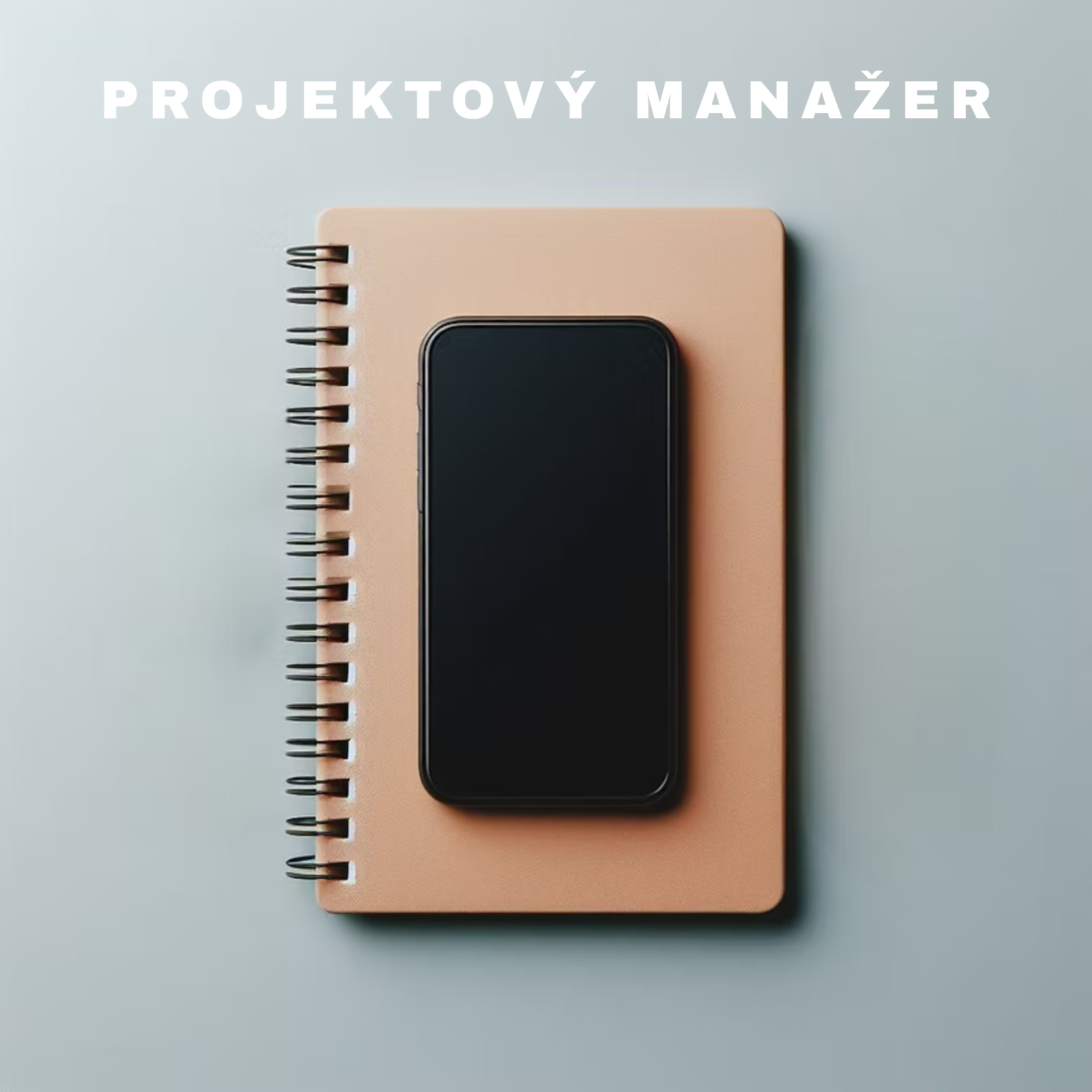 Projektový manažer